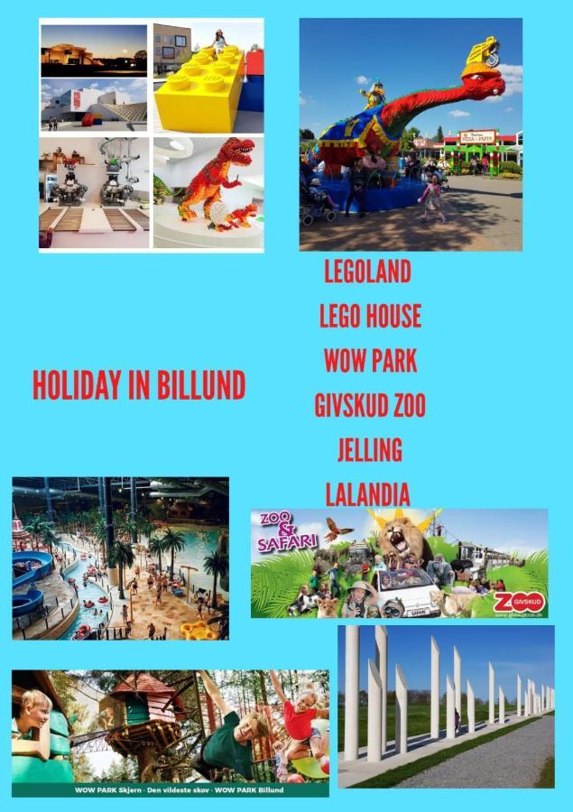300Meter Walk To Lego House - 70M2 Apartment With Garden บิลลุนด์ ภายนอก รูปภาพ
